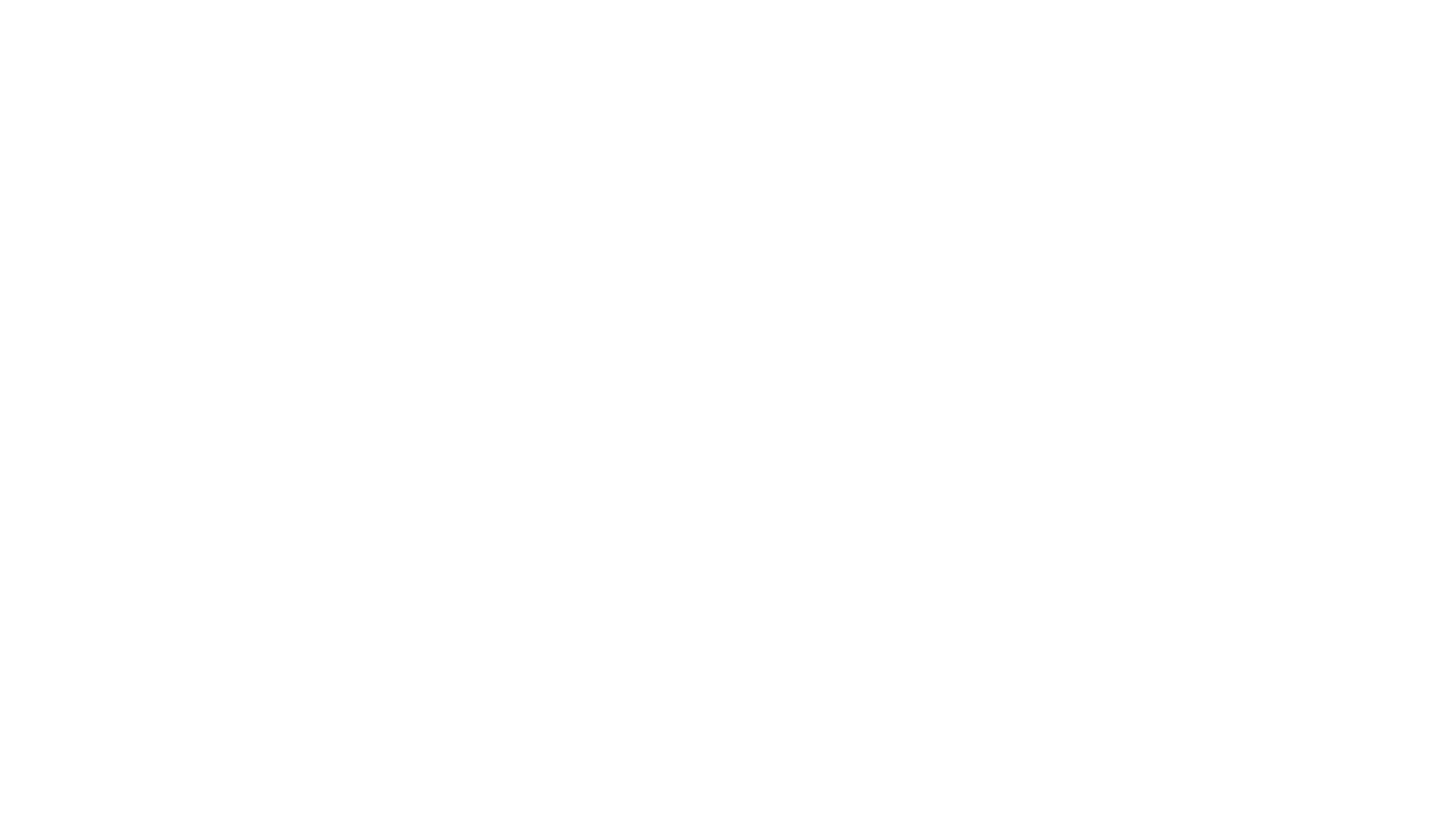 Logo Schicktanz GmbH Sohland/Spree